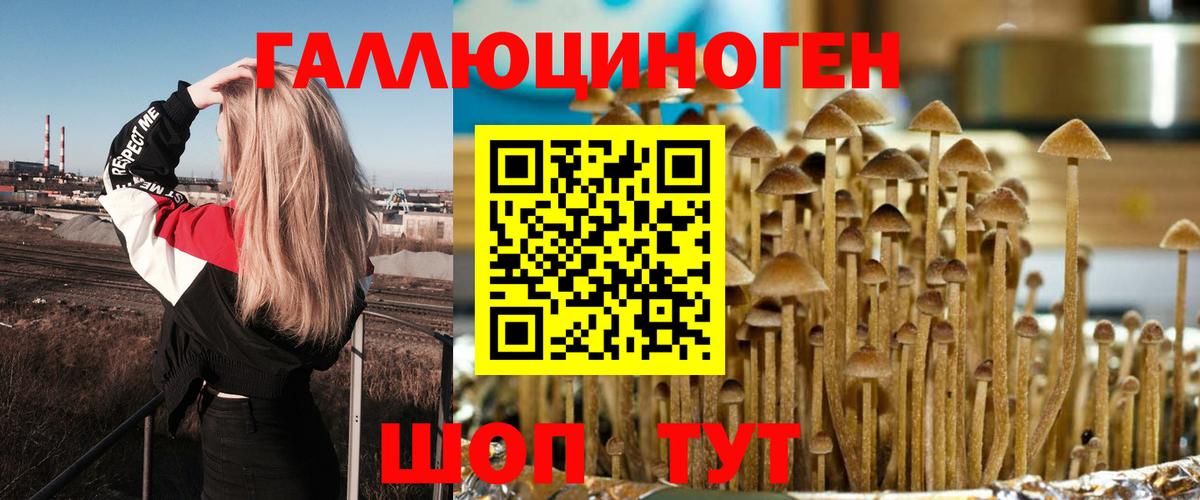 Галлюциногенные грибы мухоморы Полевской