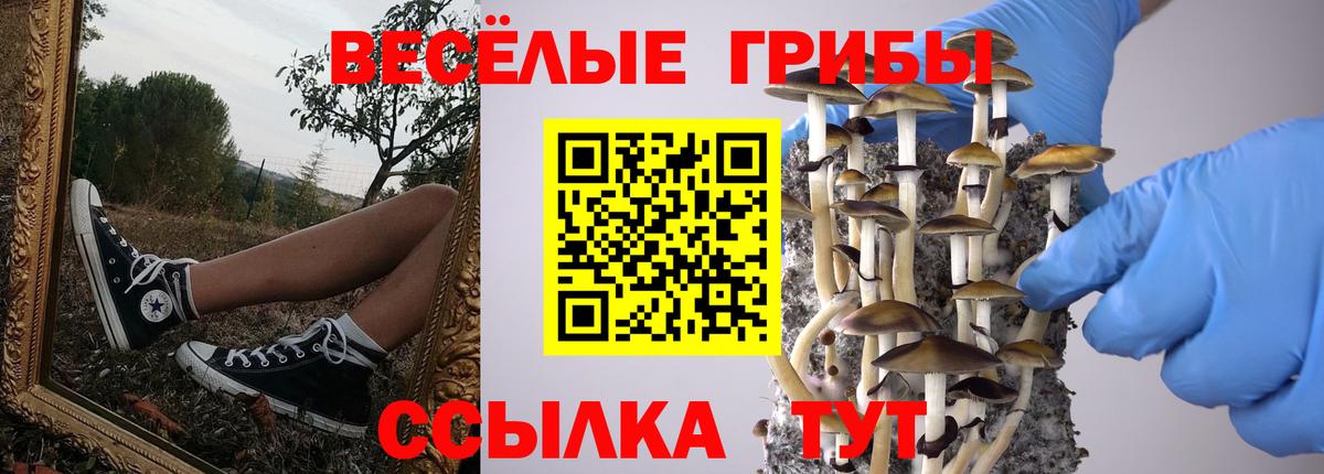 Галлюциногенные грибы Psilocybine cubensis  Вход с VPN  Полевской  Галлюциногенные грибы мицелий 